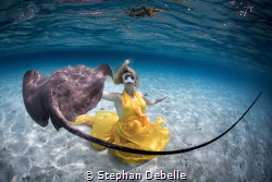Image captured in Bora Bora - Djana ballet with a sting r... by Stephan Debelle 